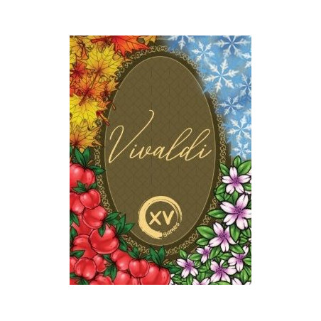 Comprar Vivaldi al mejor precio en Jugamos Otra