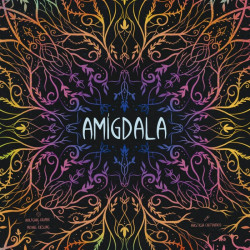 copy of Amígdala