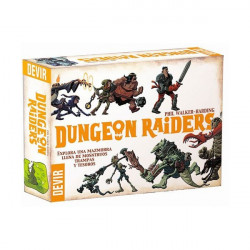 copy of Dungeon Raiders