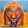 Comprar Wild: Serengeti (Inglés) al mejor precio en Jugamos Otra