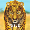 Comprar Wild: Serengeti (Inglés) al mejor precio en Jugamos Otra