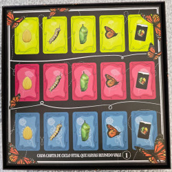 Comprar Mariposas al mejor precio en Jugamos Otra