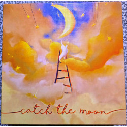 Comprar Catch The Moon al mejor precio en Jugamos Otra